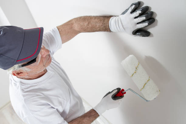 Best Drywall Sanding and Smoothing  in Boston, GA