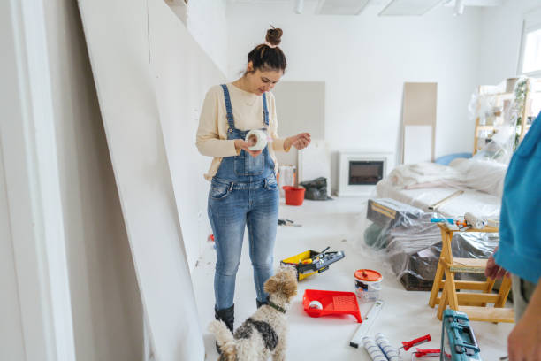 Dry wall and painting